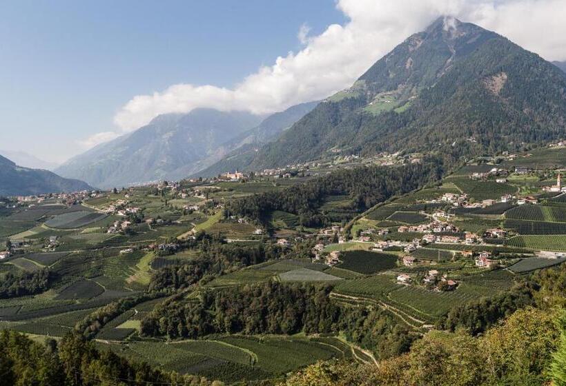 جناح, Finkennest Panoramic Garden Resort