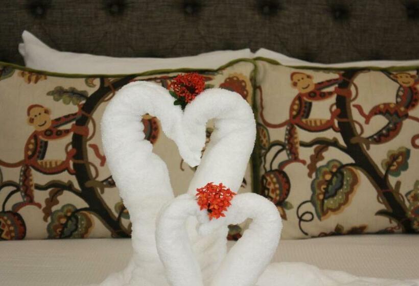 豪华套房, Gran David