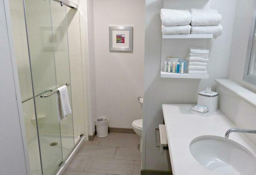 חדר אקזקיוטיב חדר קינג, Hampton Inn By Hilton Detroit Dearborn