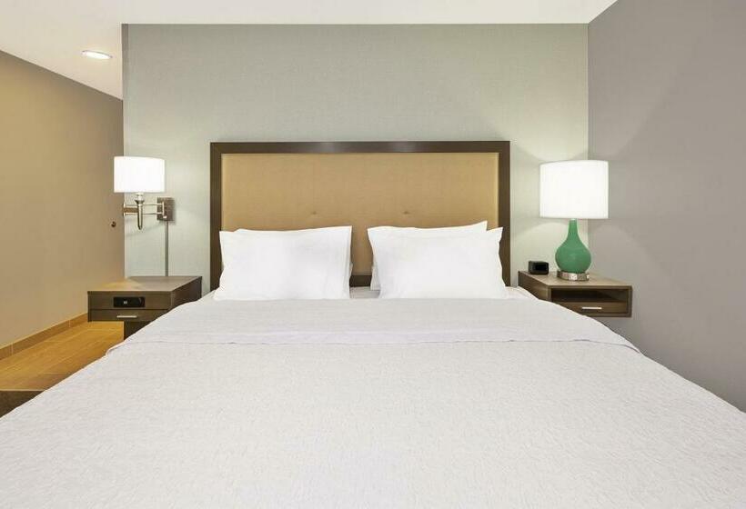מיטת קינג בסוויטה, Hampton Inn By Hilton Detroit Dearborn