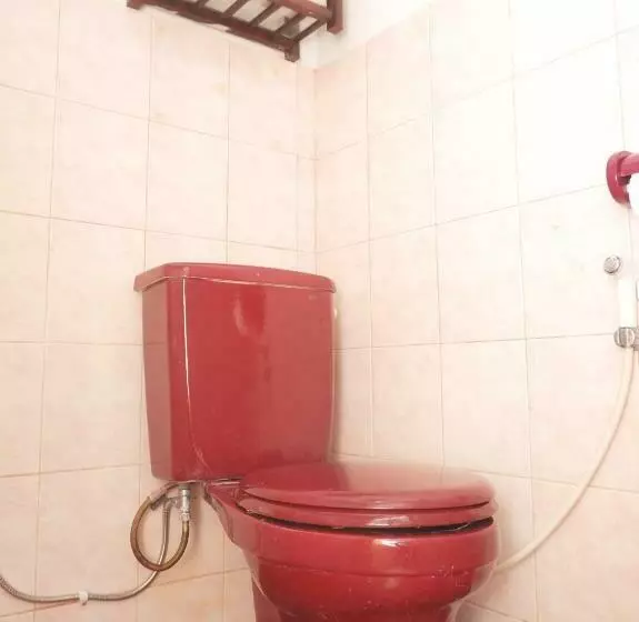 Quarto standard, Rajasa