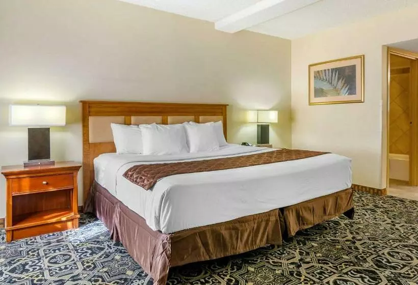 キングサイズベッドのスタンダードルーム, Quality Inn Idaho Falls