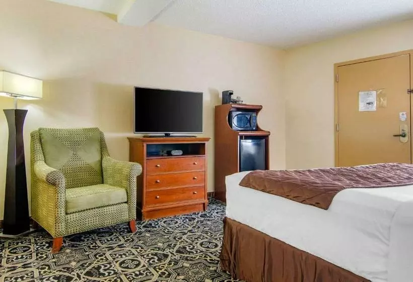 キングサイズベッドのスタンダードルーム, Quality Inn Idaho Falls