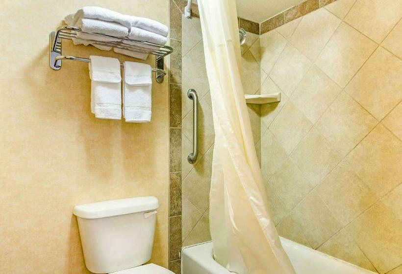 חדר סטנדרט עם מיטת קינג, Quality Inn Idaho Falls