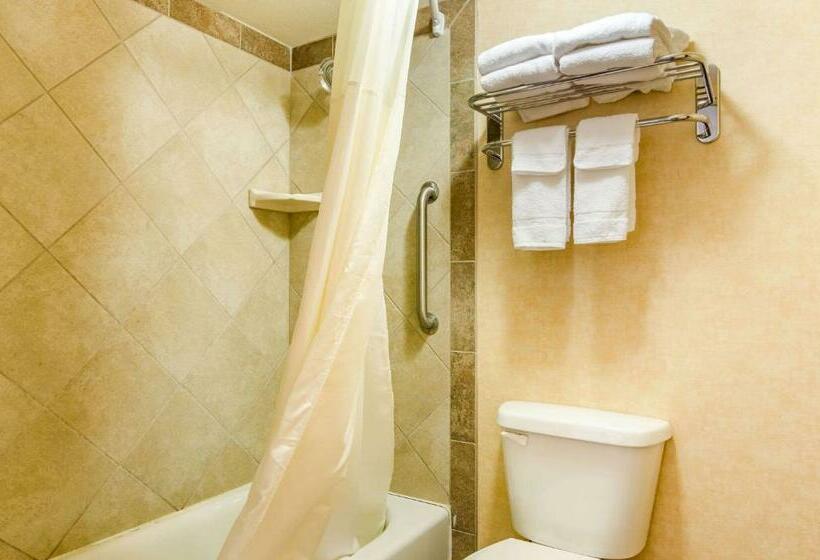 חדר סטנדרט, Quality Inn Idaho Falls