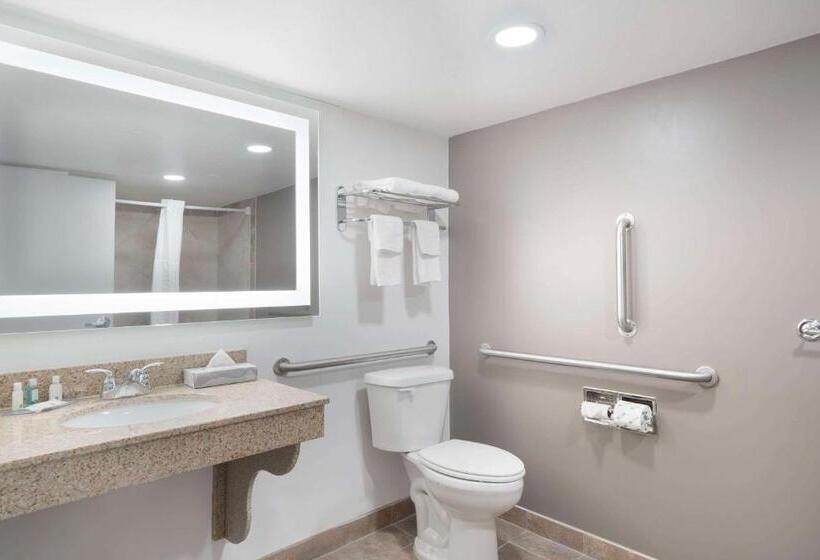 اتاق استاندارد با تخت بزرگ, Quality Inn Idaho Falls