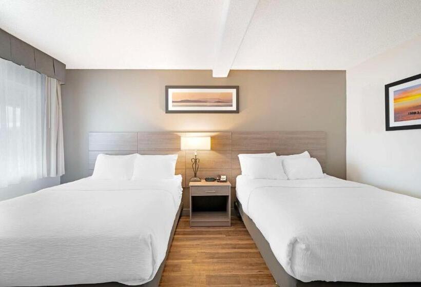 اتاق استاندارد, Quality Inn Idaho Falls