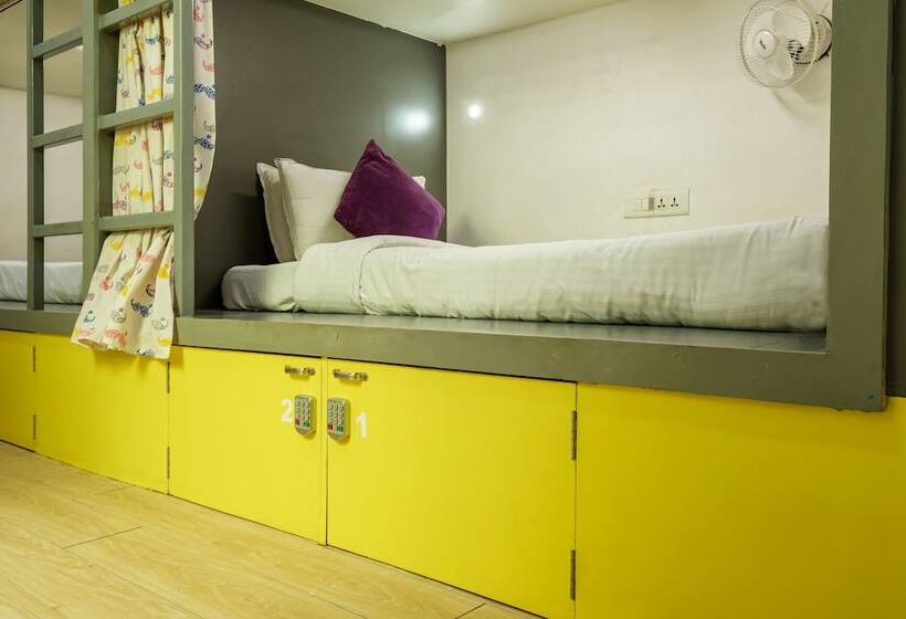 共用床高级房间, Moustache Hostel Jaipur