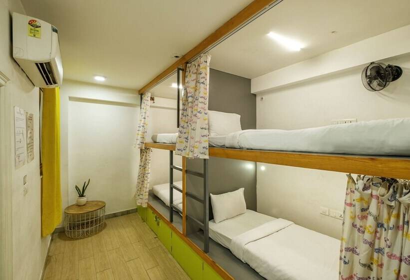 공동 객실, Moustache Hostel Jaipur