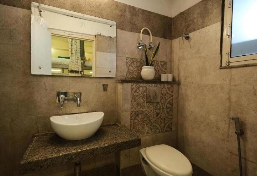 共用房间的床, Moustache Hostel Jaipur