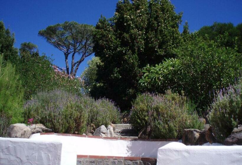 테라스 스위트, Kronendal Heritage