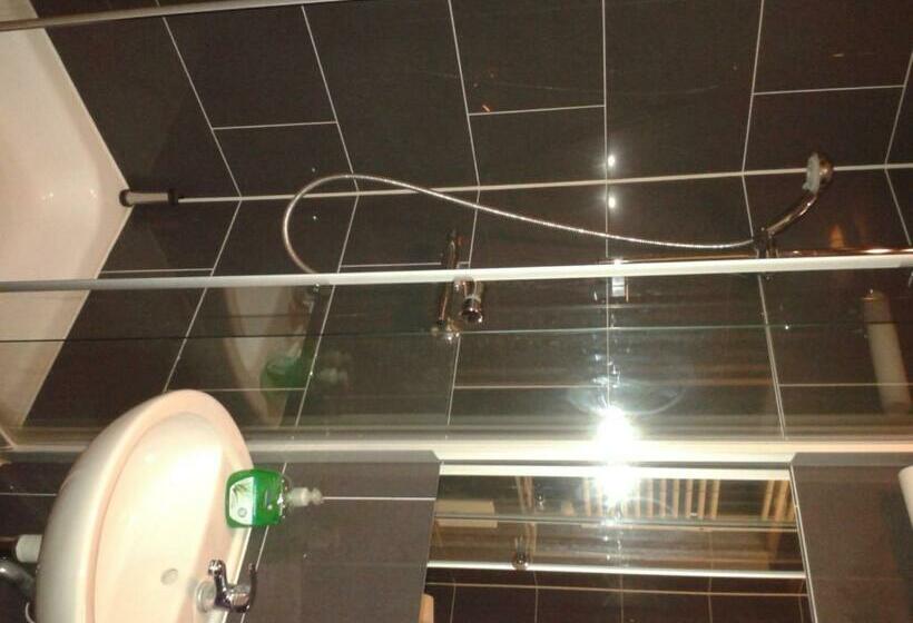 اتاق استاندارد یک نفره, Pension Levi