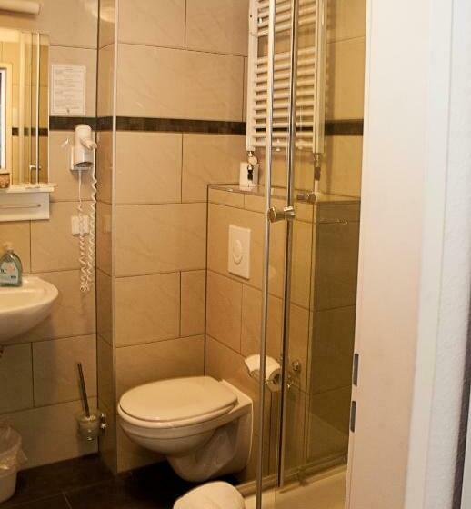 آپارتمان 1 خوابه, Pension Levi