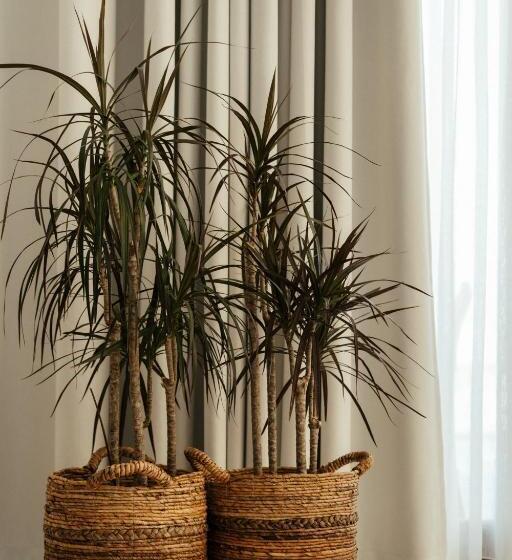 Deluxe люкс с видом, Divino Caldera