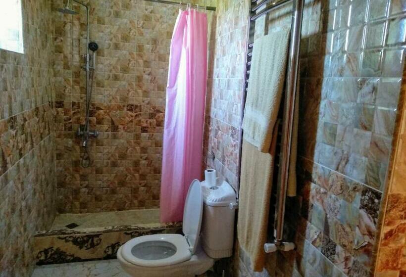 اتاق استاندارد, Edemi Castle