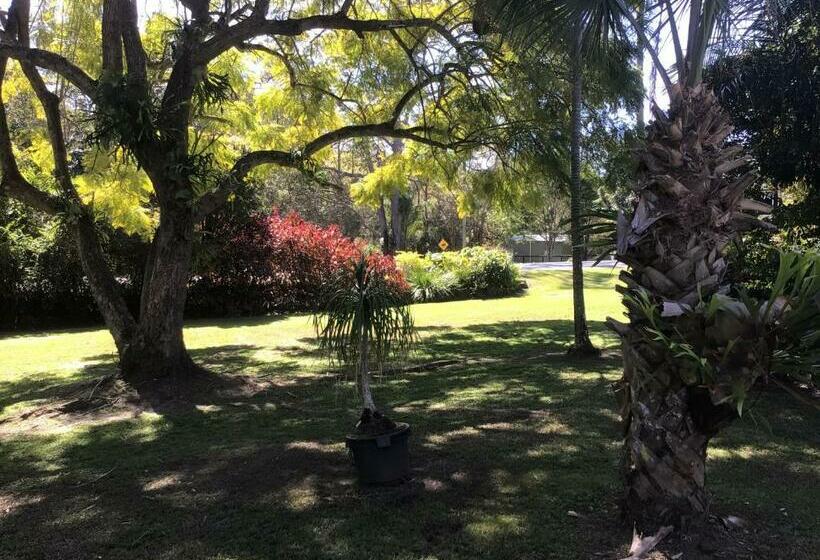 スタンダードトリプルルーム, Buderim Fiesta Motel