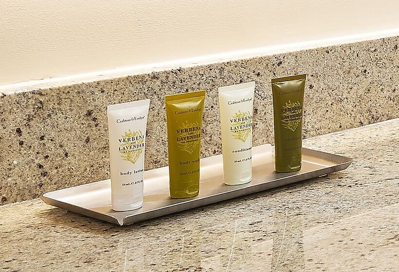 Люкс Адаптированный для Инвалидов, Hilton Grand Vacations Club Ocean Oak Resort Hilton Head