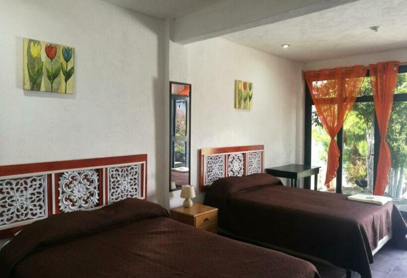 اتاق لوکس با چشمانداز دریاچه, Porto Bello