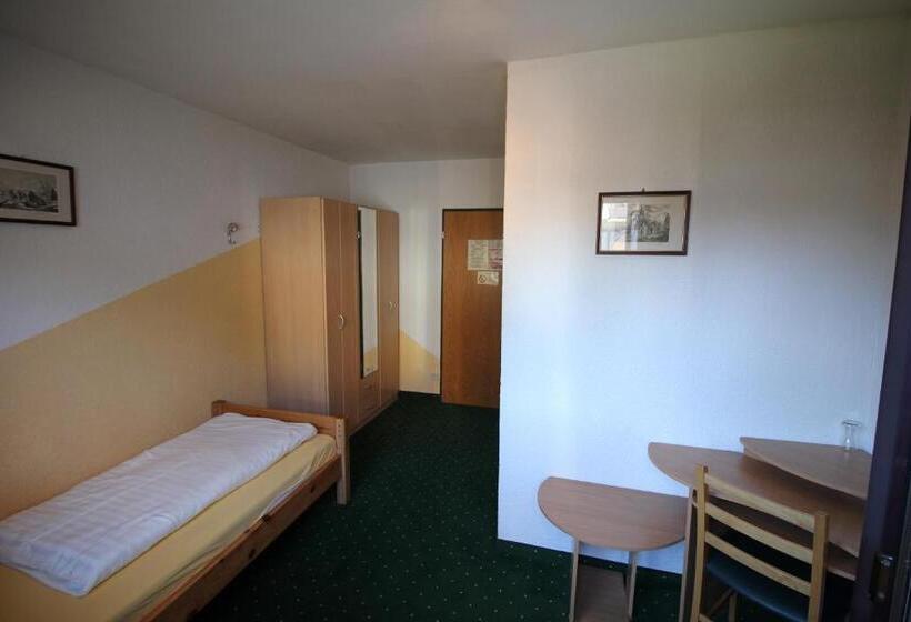 غرفة قياسية فردية, Gasthof Gotznerhof