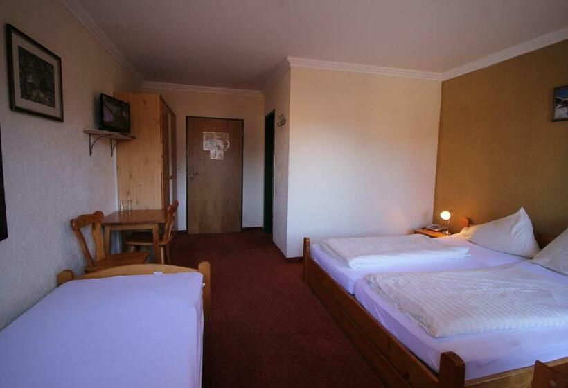 غرفة قياسية, Gasthof Gotznerhof