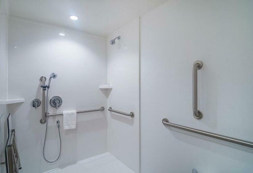 Quarto Estandar Cama King para Deficientes Físicos, Hampton Inn Chicago North-loyola Station