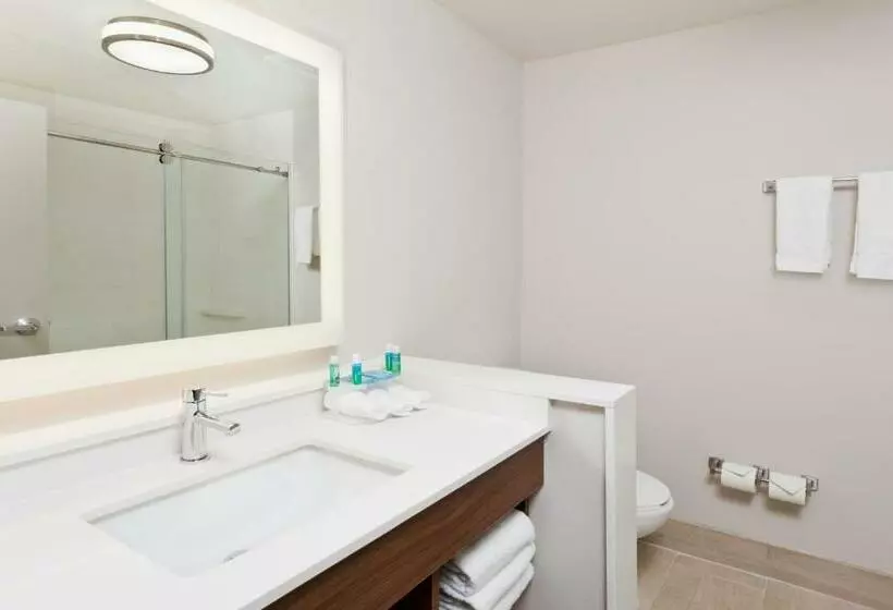 スタンダードルーム, Holiday Inn Express & Suites Cartersville, An Ihg