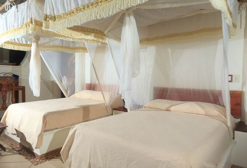 اتاق استاندارد, Nueva Vida De Ramiro