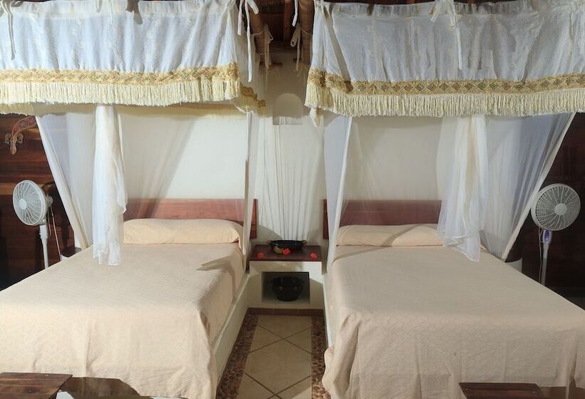 اتاق استاندارد, Nueva Vida De Ramiro