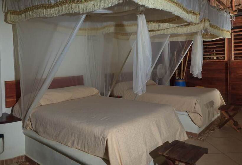 اتاق استاندارد, Nueva Vida De Ramiro