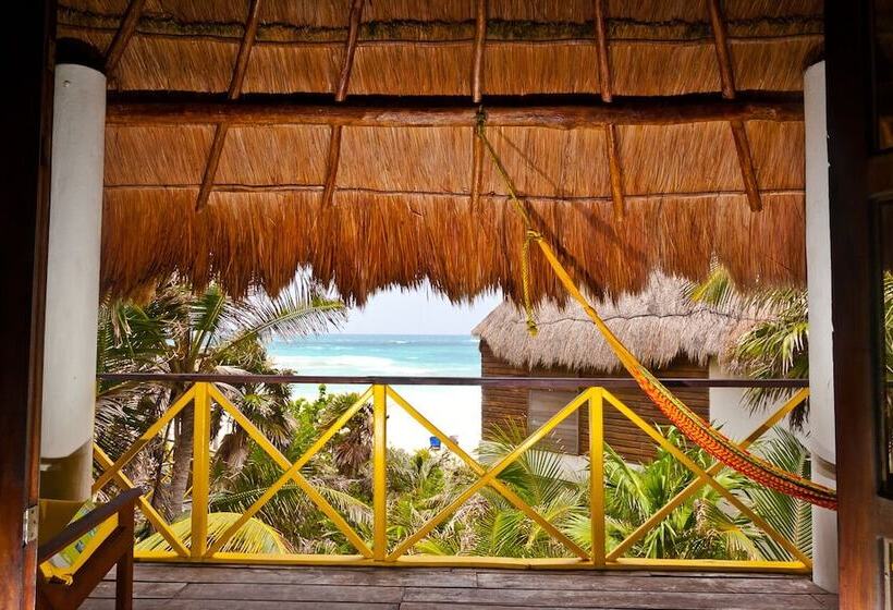 سوییت, Nueva Vida De Ramiro