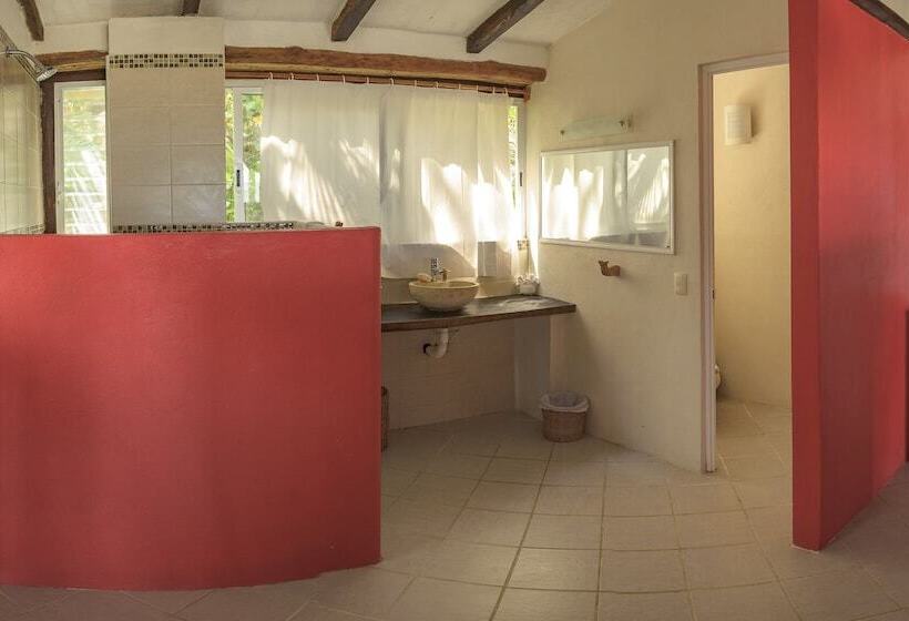 بانگلوی استاندارد, Nueva Vida De Ramiro