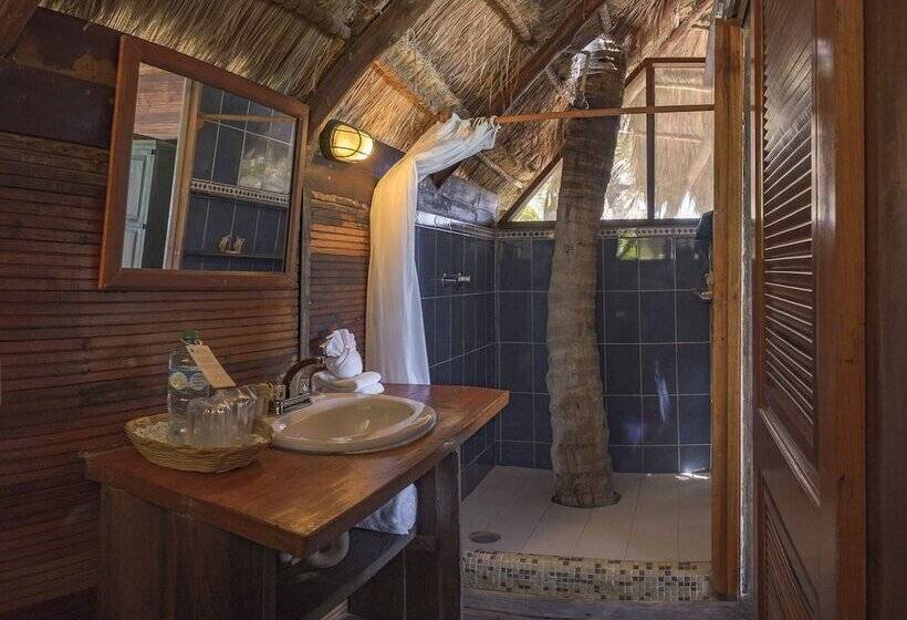 سوییت, Nueva Vida De Ramiro