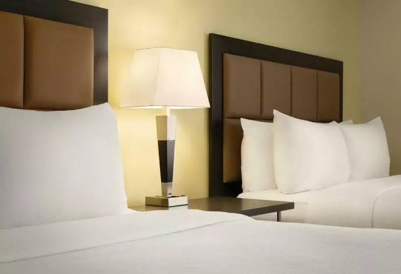 استودیوی استاندارد, Park Inn By Radisson, Calgary Airport North, Ab