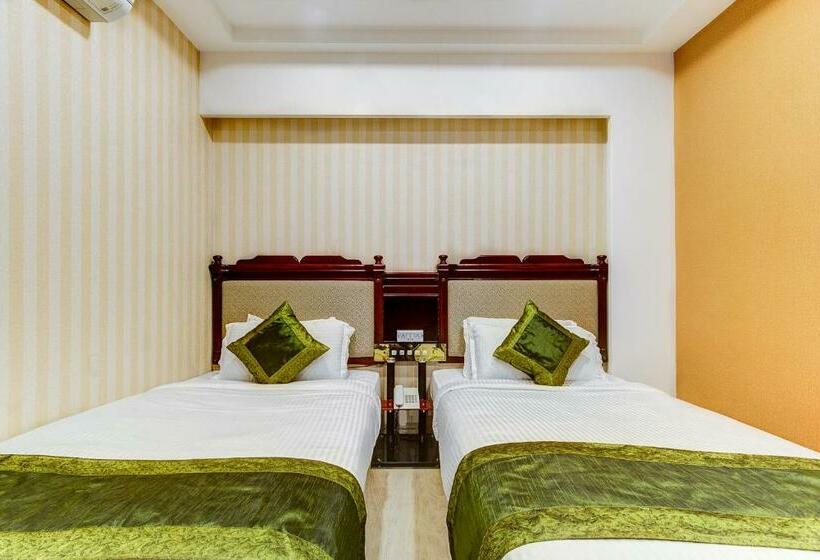 Номер Стандарт, Treebo Shivani