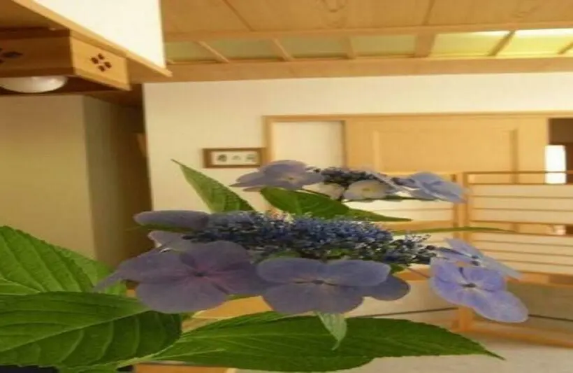 スタンダードスタジオ, Ichigekan / Vacation Stay 8470