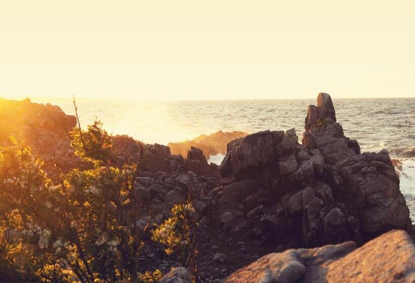 غرفة قياسية مطلّة علي البحر, Stammershalle Bade