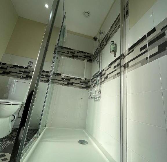 غرفة قياسية سرير كينج, Old Manor House