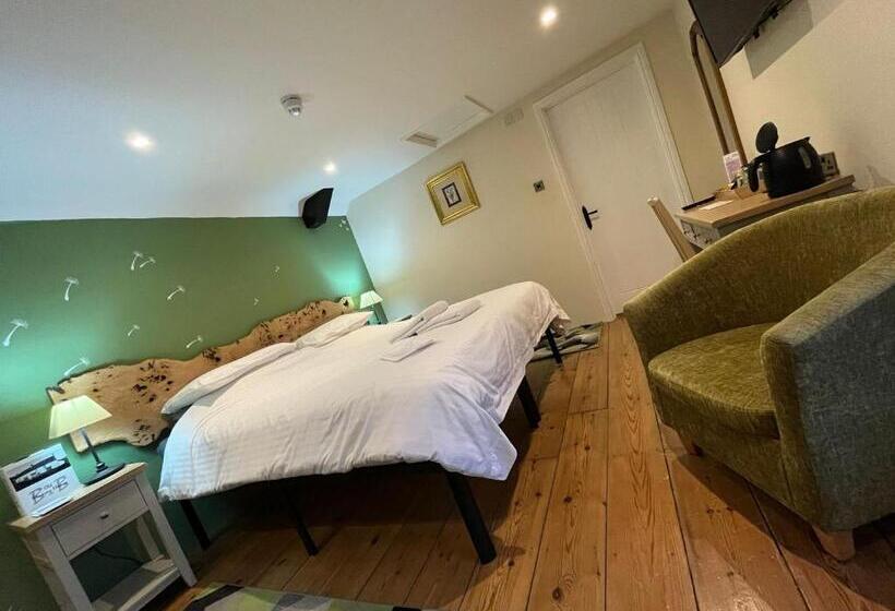 غرفة سوبيريور سرير كينج, Old Manor House