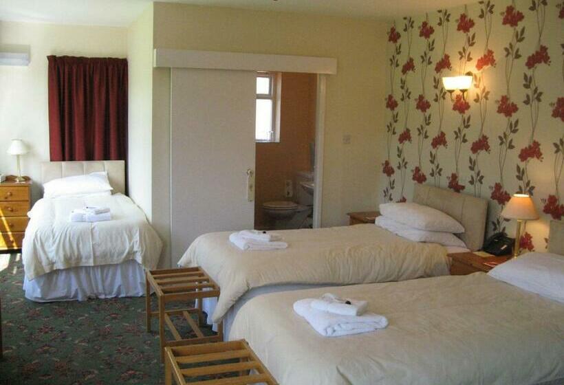 标准三人间, The Red Lion