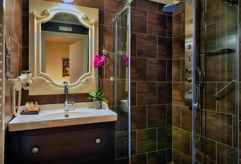 חדר דופלקס, Antique