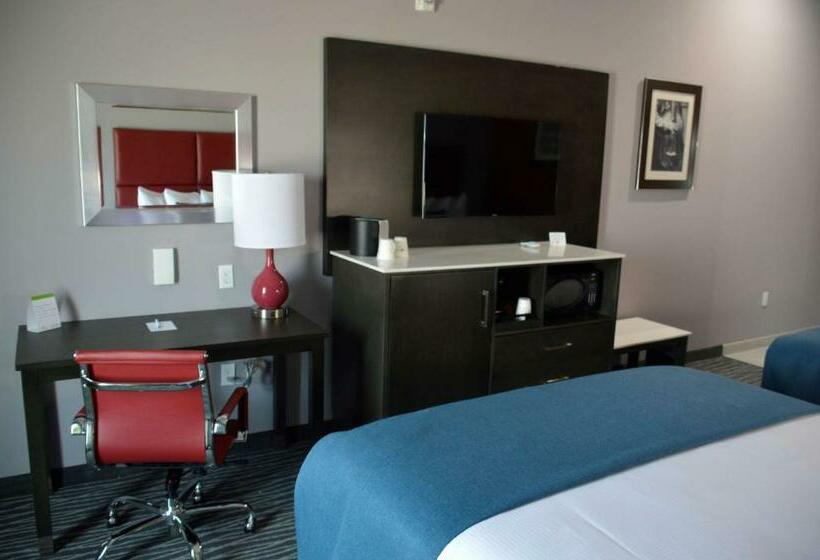 اتاق لوکس با تخت بزرگ, Del Mar Airport Inn & Suites