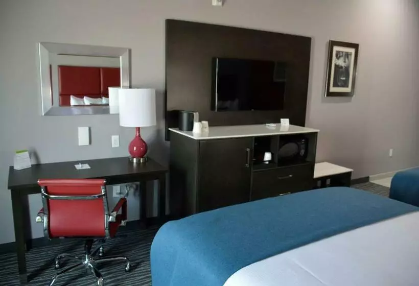 キングサイズベッドのデラックスルーム, Del Mar Airport Inn & Suites