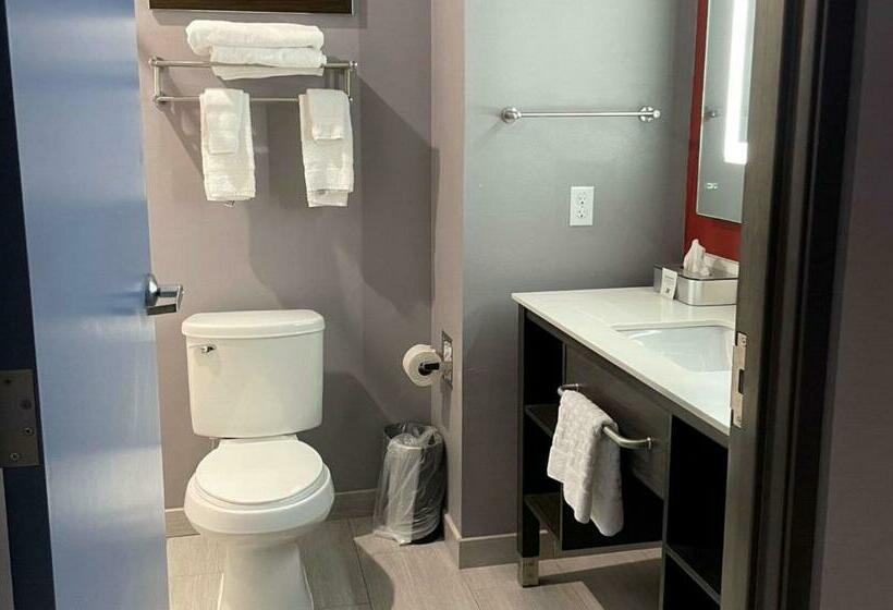 اتاق لوکس با تخت بزرگ, Del Mar Airport Inn & Suites