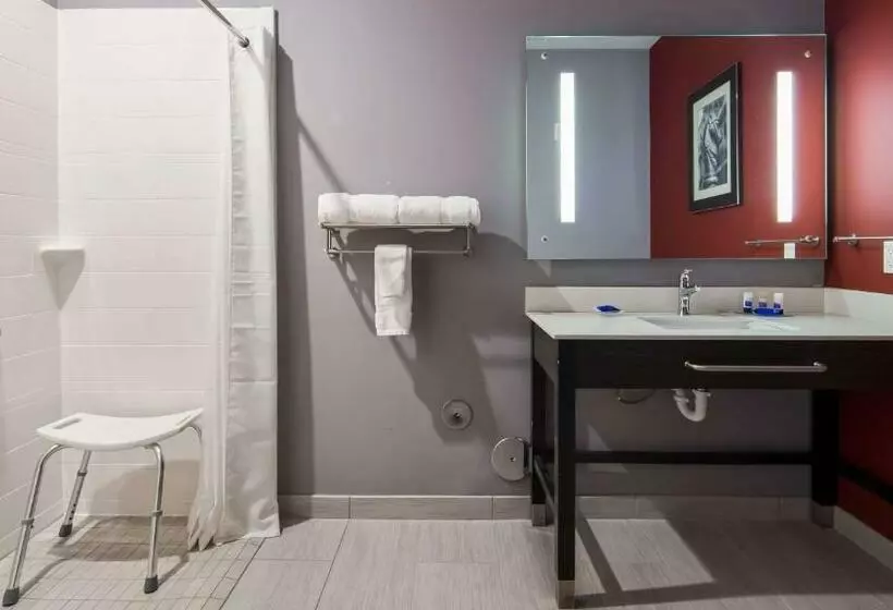 身障者適用スタンダードルーム, Del Mar Airport Inn & Suites