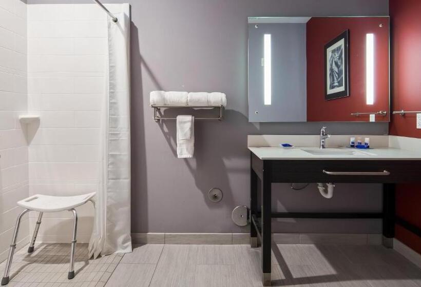 اتاق استاندارد با تخت بزرگ برای معلولان, Del Mar Airport Inn & Suites