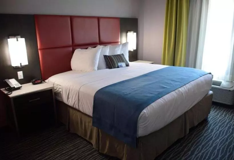 身障者適用キングサイズベッドルーム, Del Mar Airport Inn & Suites