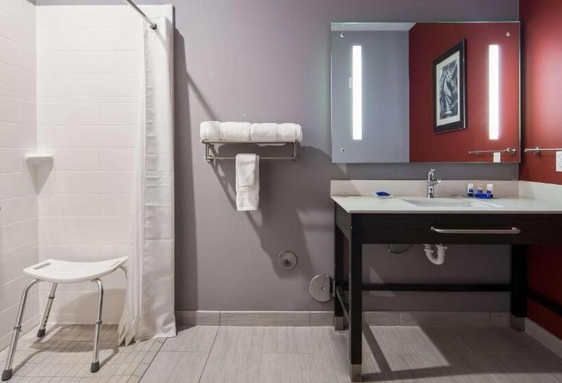 اتاق استاندارد با تخت بزرگ برای معلولان, Del Mar Airport Inn & Suites