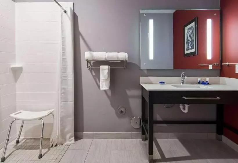 身障者適用キングサイズベッドルーム, Del Mar Airport Inn & Suites