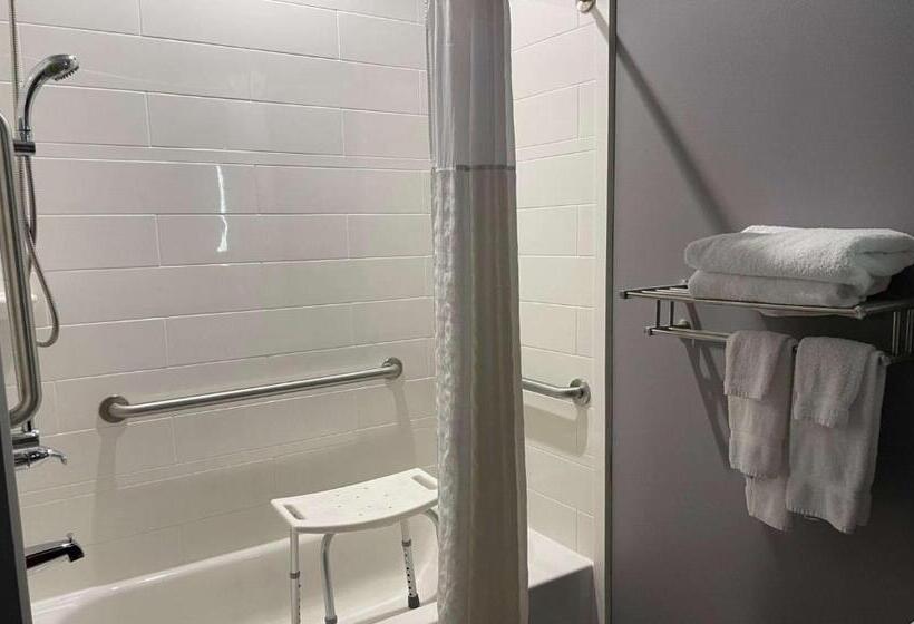 اتاق استاندارد با تخت بزرگ برای معلولان, Del Mar Airport Inn & Suites