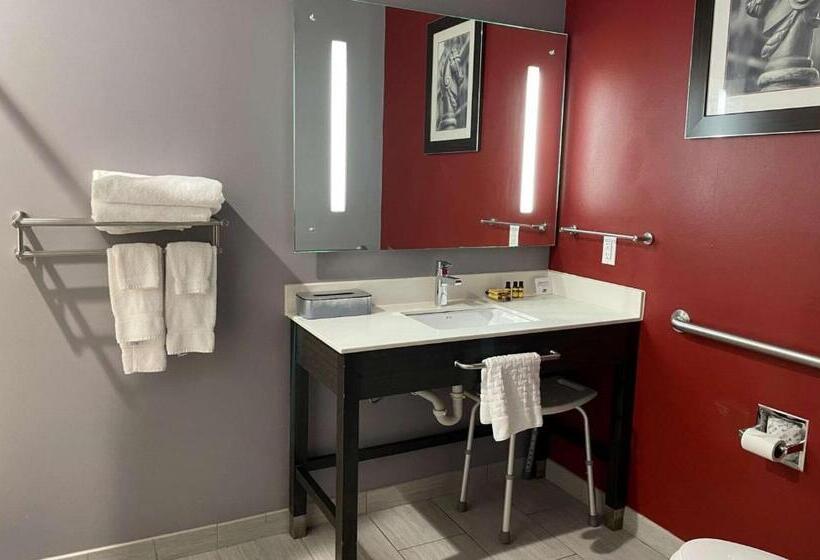 اتاق استاندارد با تخت بزرگ برای معلولان, Del Mar Airport Inn & Suites